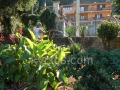 foto-5-